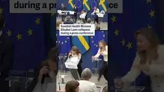 Swedish Health Minister collapses during a press conference