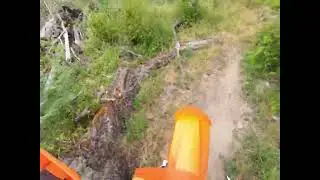 Cassidy Creek June 2025