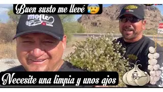 Que susto me lleve😱😱😱😱🐍