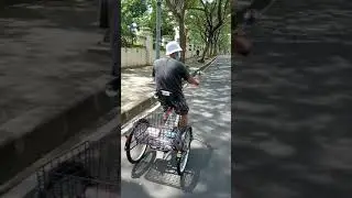 Sepeda roda tiga dewasa minion tri cycle 24