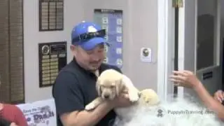 Puppy In Training TV - Ep1 - Picking Up Your Puppy