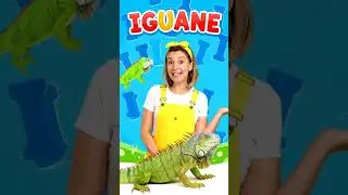 La lettre I... I comme IGUANE ! #enfants #apprentissage #alphabet