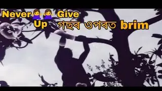 Never🙅🙅 Give Up  anaie man gal didilu