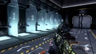 AW all assault rifles with royalty