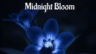 Midnight Bloom Ep By Blue Rose 🌹 💙 (Track By Track) 