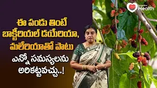 Prevent Bacterial Diarrhea | ఈ పండు తింటే బాక్టీరియల్ డయేరియా Unani Dr. SGV Sathya | TeluguOneHealth