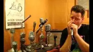 Sonotone CM11 Ceramic Harp Mic
