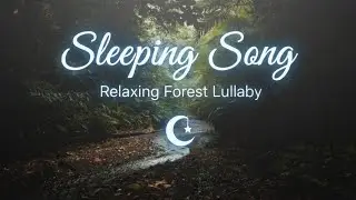  Suggestion: Deep Sleep Music with Forest Ambience | Relaxing Sleeping Song for Mind Relaxation 🌙🌲