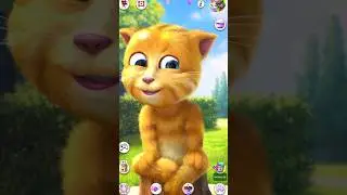 #talkingginger2