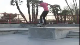 Peter Dunlap Quick Clips- Half cab manual backside flip out