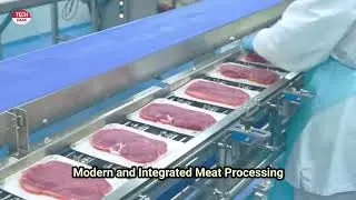 Brazil beef industry-The Giant industry || #theveterinarian #beef