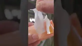 Sunscreen wipes for easy, mess-free #sunscreen #asmr #pausechallenge #zudiofinds
