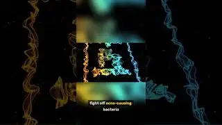 The Science of Reverse Aging Through Epigenetic Reprogramming1