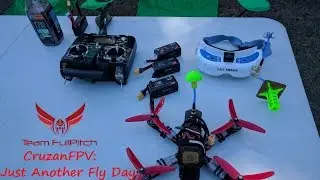 Just Another Fly Day