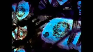 Reboot - Beautiful Parasite (Original Mix)