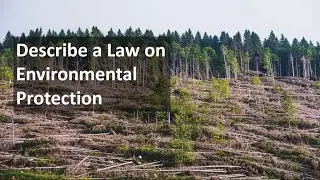 Describe A Law On Environmental Protection | Latest Cue Card