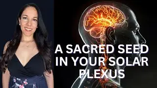 Every Month an Enlightenment Seed is formed in Your Solar Plexus