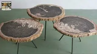 Natural Edge Petrified Wood Coffee Table