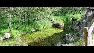 La ruta de los molinos a orillas del río Perales