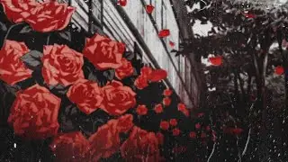 TYuS - City of the Rose  ( Slowed + Reverb + Bass Boosted )