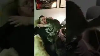 Don't be upset, please look at the kitten.#cat&nbsp;#catsoftiktok&nbsp;#catlover&nbsp;#funny&nbsp;#funnyvideos