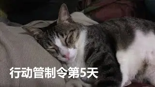 Tom story Vlog | 行动管制令第5天   Just stay at home