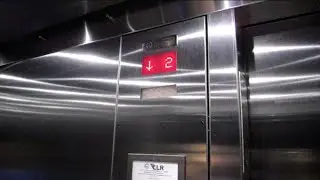 ThyssenKrupp Hydraulic Glass Elevators at The Riverbanks Zoo Pedestrian Bridge in Columbia