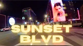 LOS ANGELES | SUNSET BLVD DRIVE