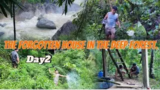 Repairing an abandoned house in the deep woods. Day 2,let's get started.