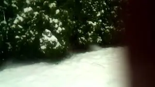 Snow Cold!!!