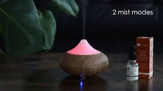 Dr. Botanicals Natural And Calming Digital Diffuser