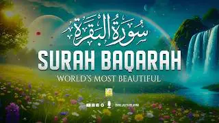 Surah Al-Baqarah سورة البقرة | Ultimate Relaxing Quran Recitation to Sooth Your Soul #baqarah