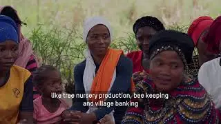 Bee keeping girls away from early pregnancies, STIs