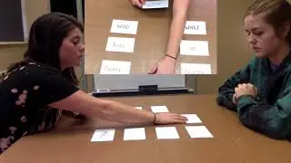 VNeST Demonstration