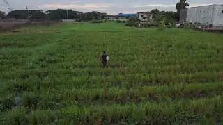 Umagang lipad #djiflip 