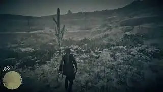 Rdr26