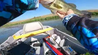A #masterangler #bass during the May #fishontournament.  5 11 25 #fishing  #largemouthbass