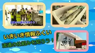 いきいき情報ふくい「流通の仕組みを知ろう！」（2019年9月1日更新）