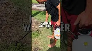 Natural homemade weed killer
