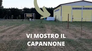 VI MOSTRO IL CAPANNONE