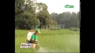 Mist blower cum Duster & Motorized sprayer