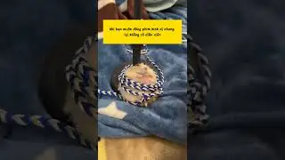 Cho hamster đi đ&oacute;ng phim ma lu&ocirc;n