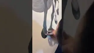 Hina Parvez Butt sister Amna Butt - The Art Room Gallery Official