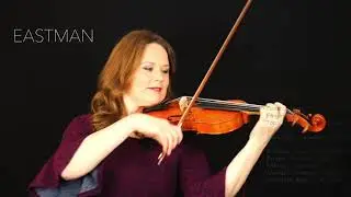 Eastman VL250ST Violin