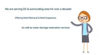 DC Mold Removal - Pro Restorer