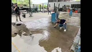 First Time Doing Epoxy Flooring? Our Team Trains Workers in Malaysia! | Day 1