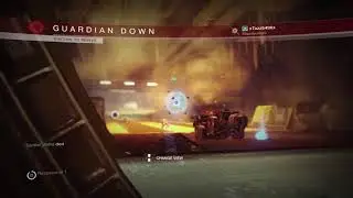Professional Guardians