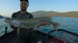 Guidage carnassier - Lac du Bourget 