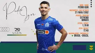PEDRO IGOR - WINGER - DINAMO MINSK (BLR) - 2025 | DVD DE JOGADOR OFICIAL
