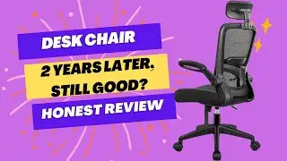 FelixKing Ergonomic Office Chair - Honest Review after 2 years!